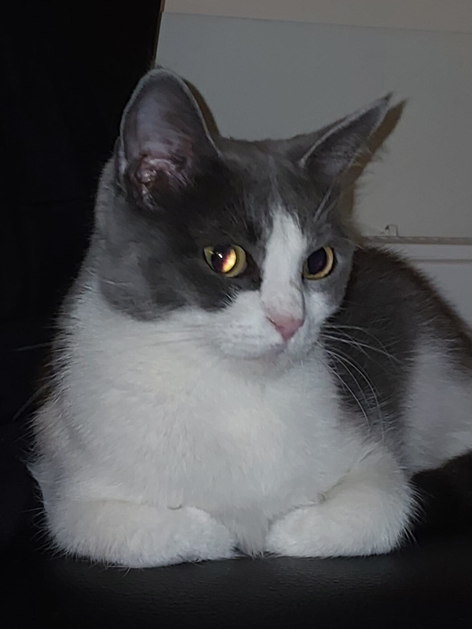 Lucy